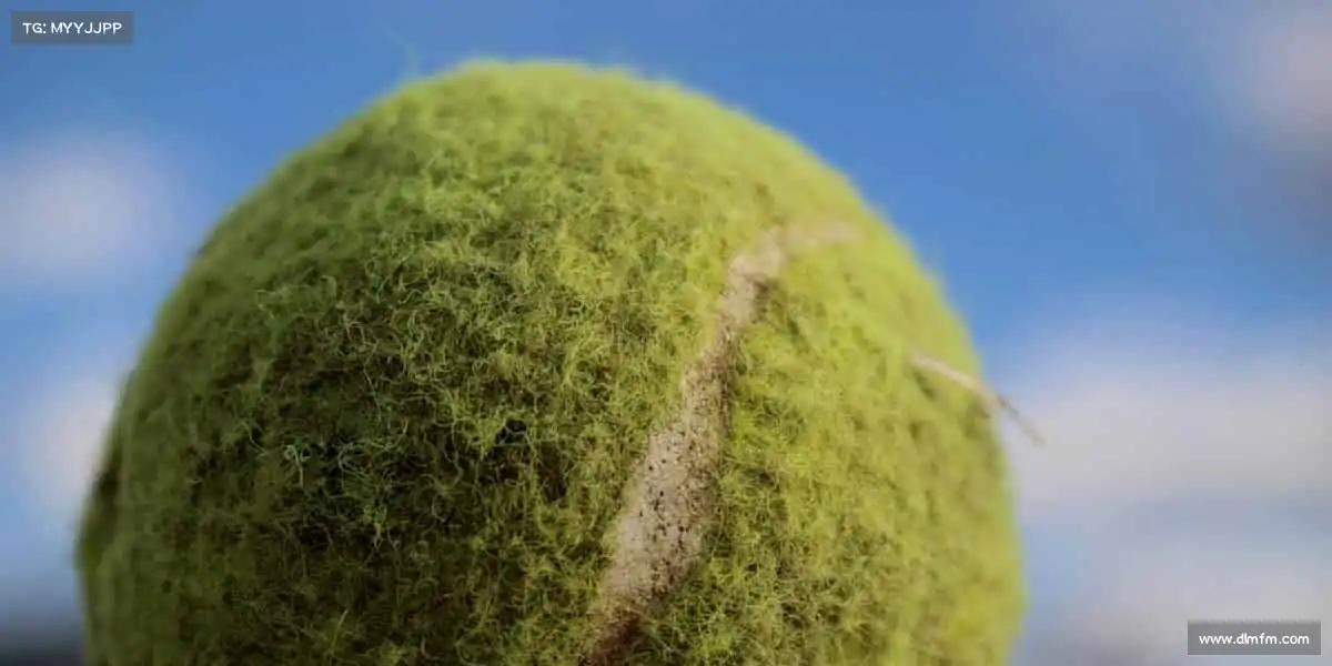 <strong>Raybet雷竞技官网</strong>🌈无论是清晨的慢跑，还是深夜的训练 —— 这里，总有属于你的运动舞台！